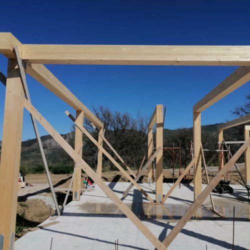 WhatsApp Image 2025-12-22 at 11.31.08