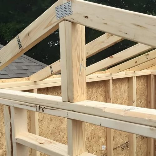 WhatsApp Image 2025-12-22 at 11.31.09